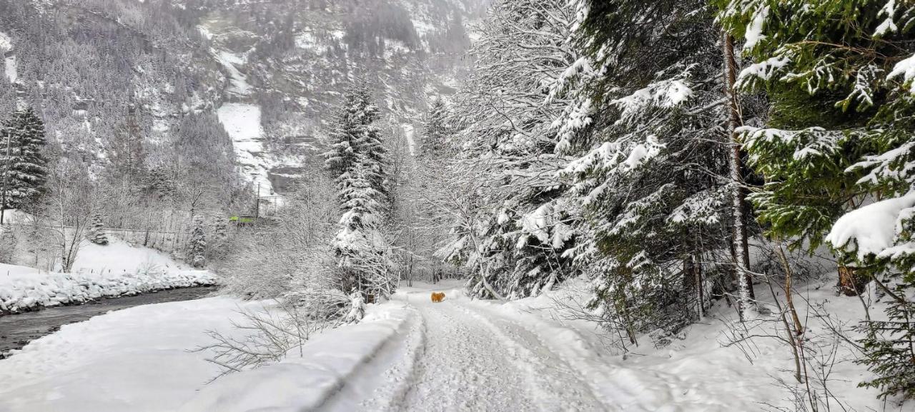 Bueelbad - Relax Holiday Apartment Kandersteg Esterno foto